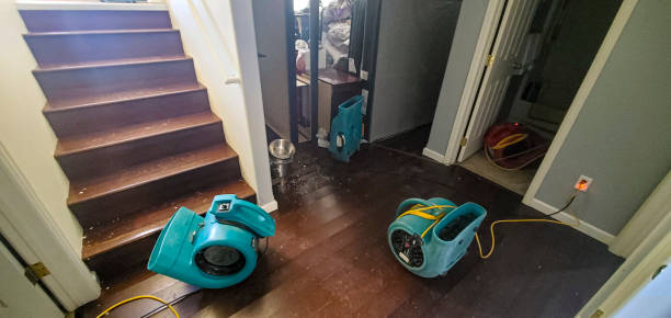 Best Emergency water damage restoration  in South Sioux City, NE