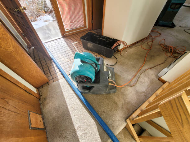Best Water damage restoration near me  in South Sioux City, NE