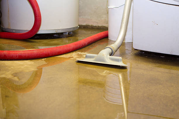 South Sioux City, NE Water damage restoration Company