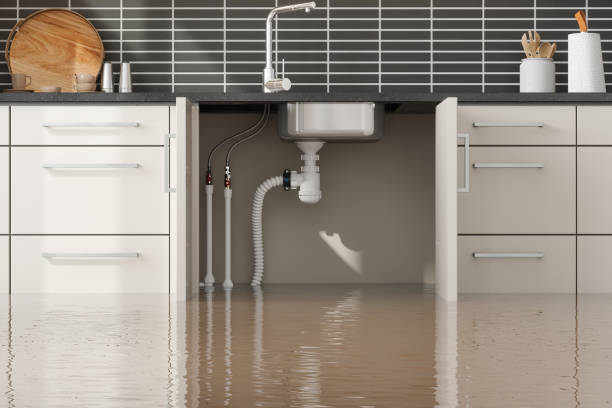 Best Residential water damage restoration  in South Sioux City, NE