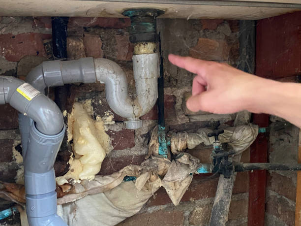 Best Water damage restoration near me  in South Sioux City, NE