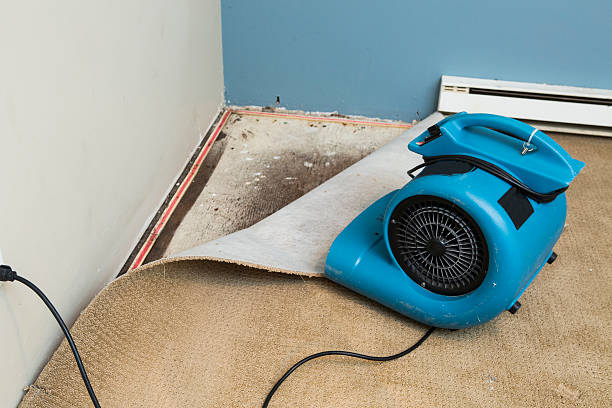  South Sioux City, NE Water damage restoration Pros